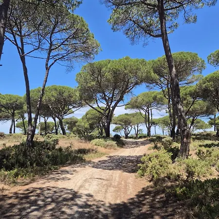 빌라 A Piscina Da Lagoa - De Albufeira Lagoa de Albufeira